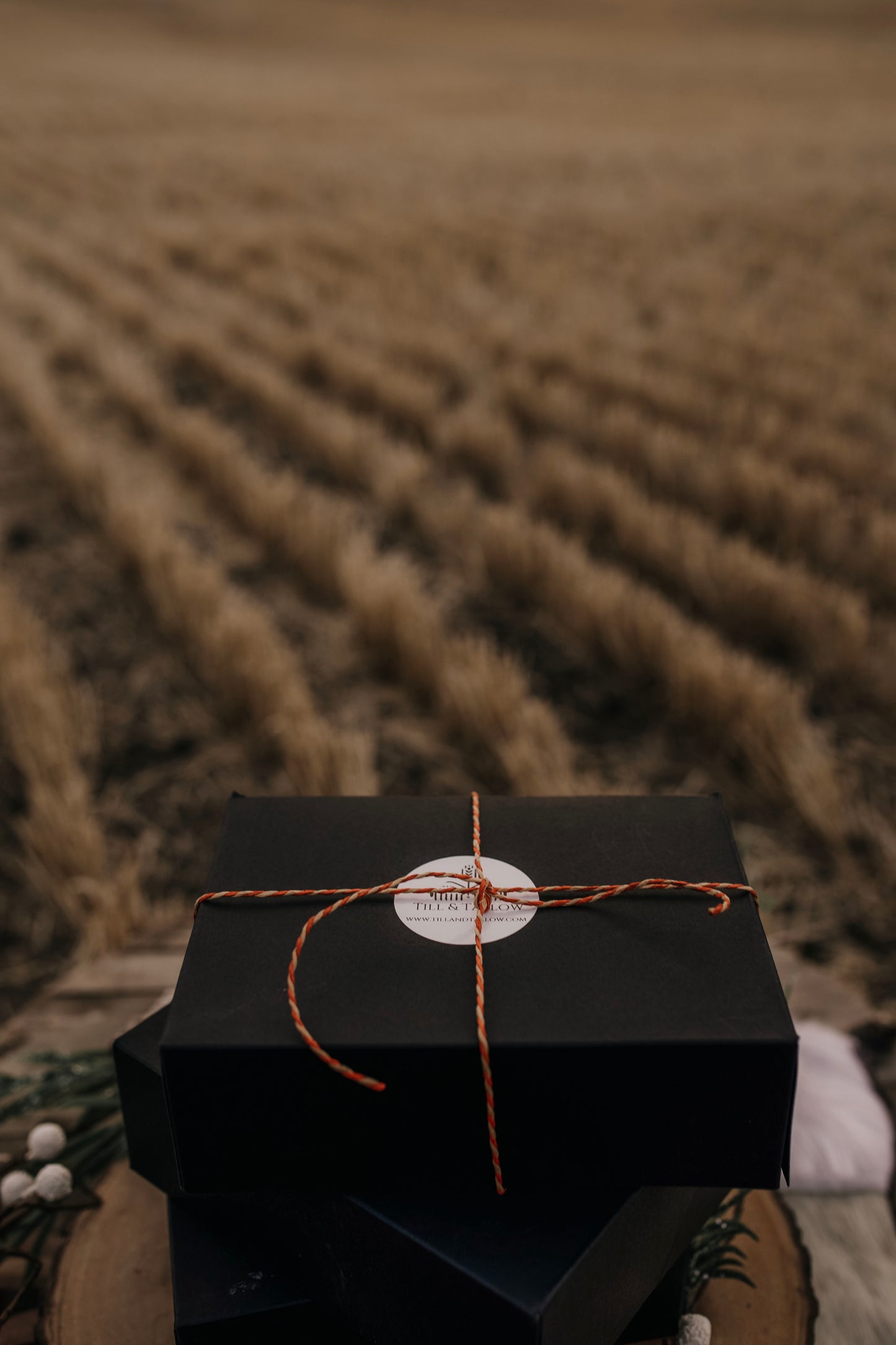 Till & Tallow Black Boxes stacked on wood in an open prairie field.