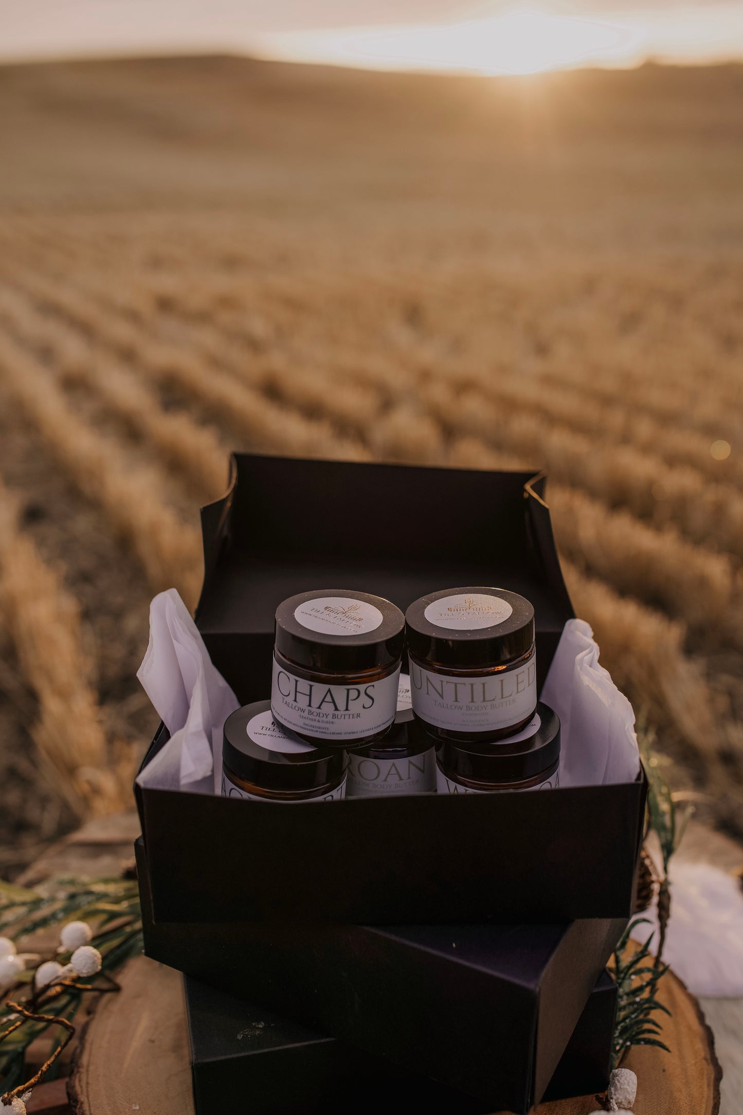 Till & Tallow 2oz body butters displayed in a black box against a golden prairie field.