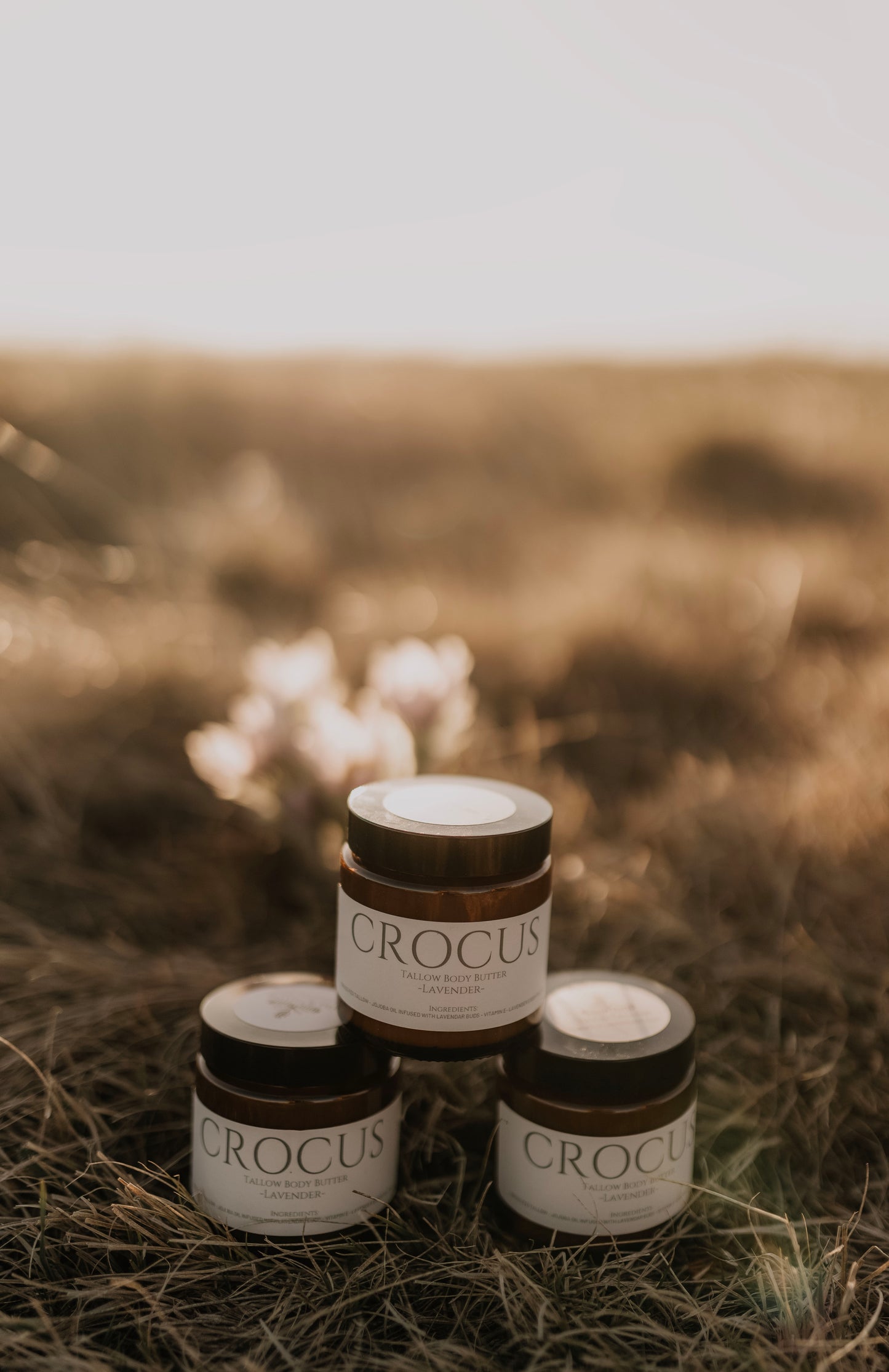 Three Crocus tallow body butter jars in Alberta prairie filed-lavender and natural scent variants by Till & Tallow 