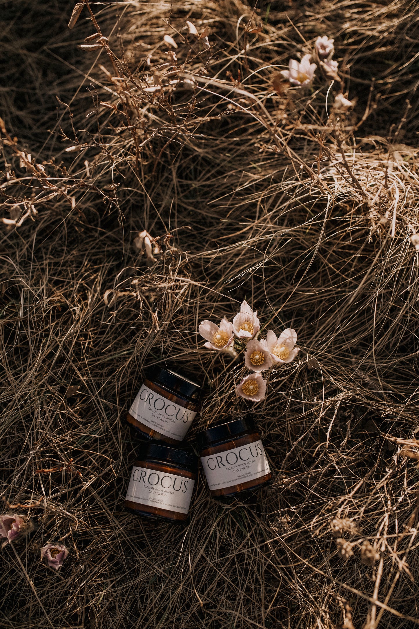 Three Crocus tallow body butter jars in Alberta prairie grass with wild crocus flowers - Till & Tallow handcrafted skincare