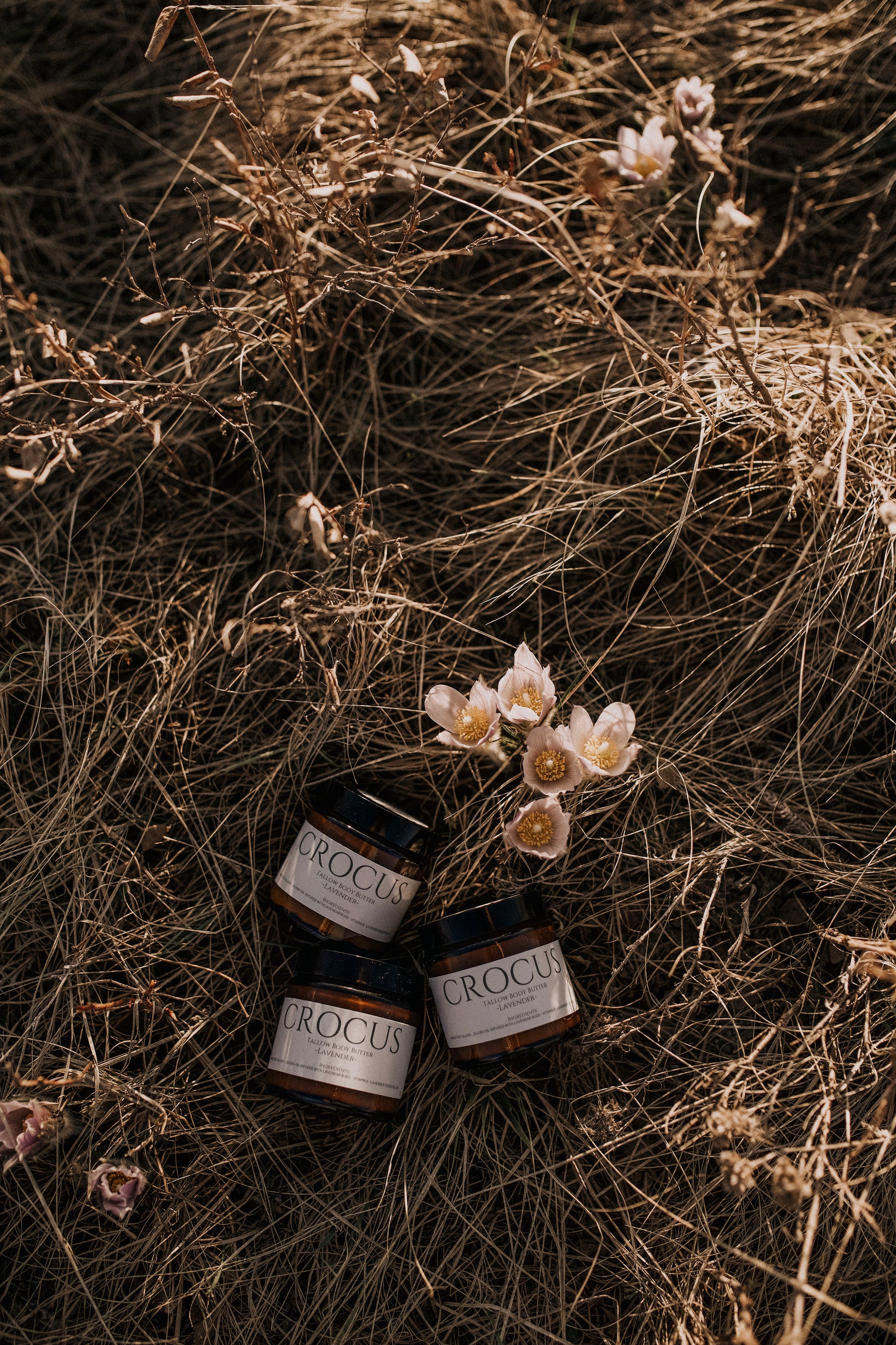 Three Crocus tallow body butter jars in Alberta prairie grass with wild crocus flowers - Till & Tallow handcrafted skincare