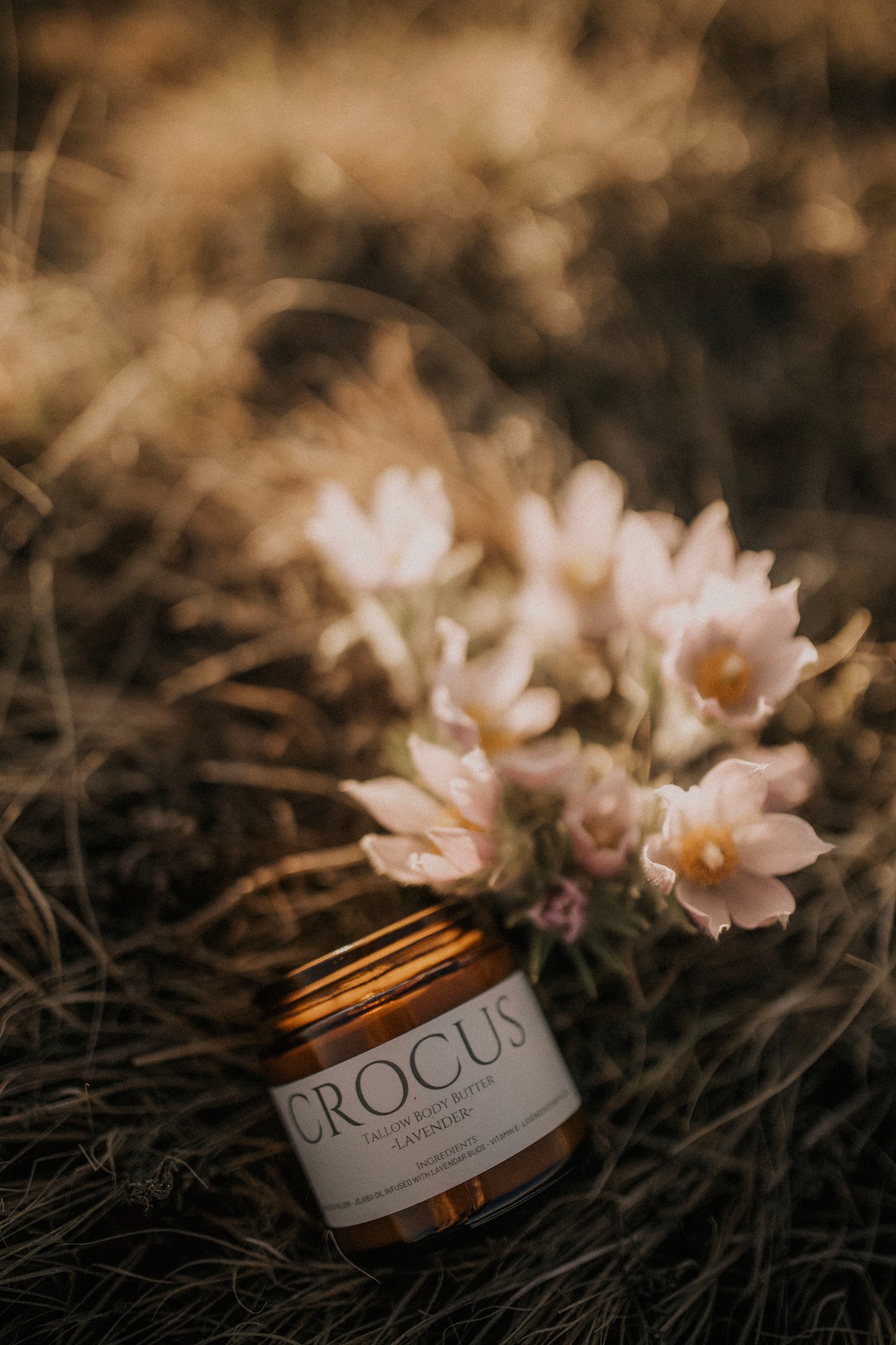 Crocus tallow cream jar surrounded by wild crocus flowers in Alberta grass- till & Tallow natural skincare