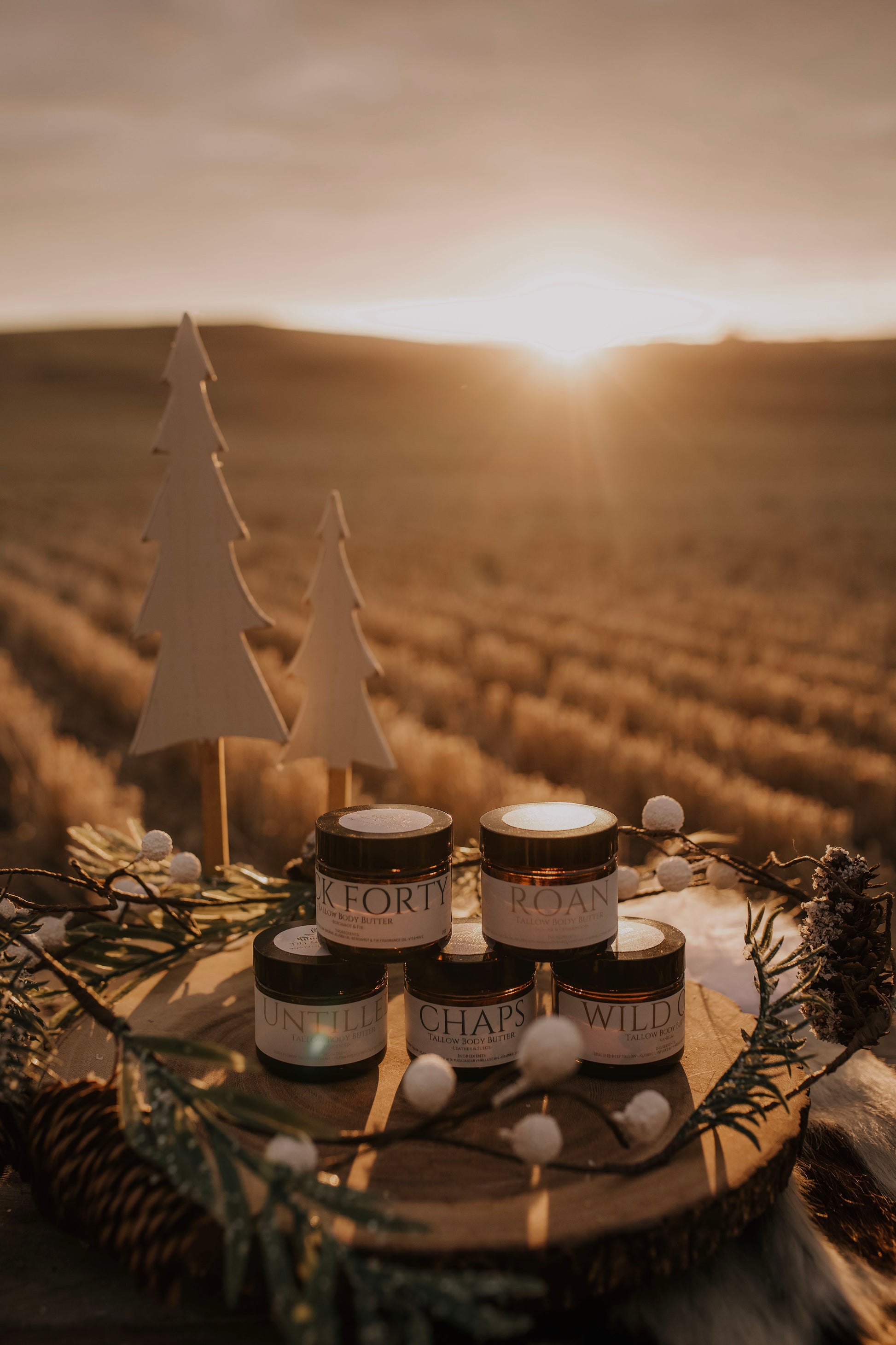 "Till & Tallow 2 oz body butter Christmas gift set displayed on wooden tray with pine decor, field background, and warm sunset lighting