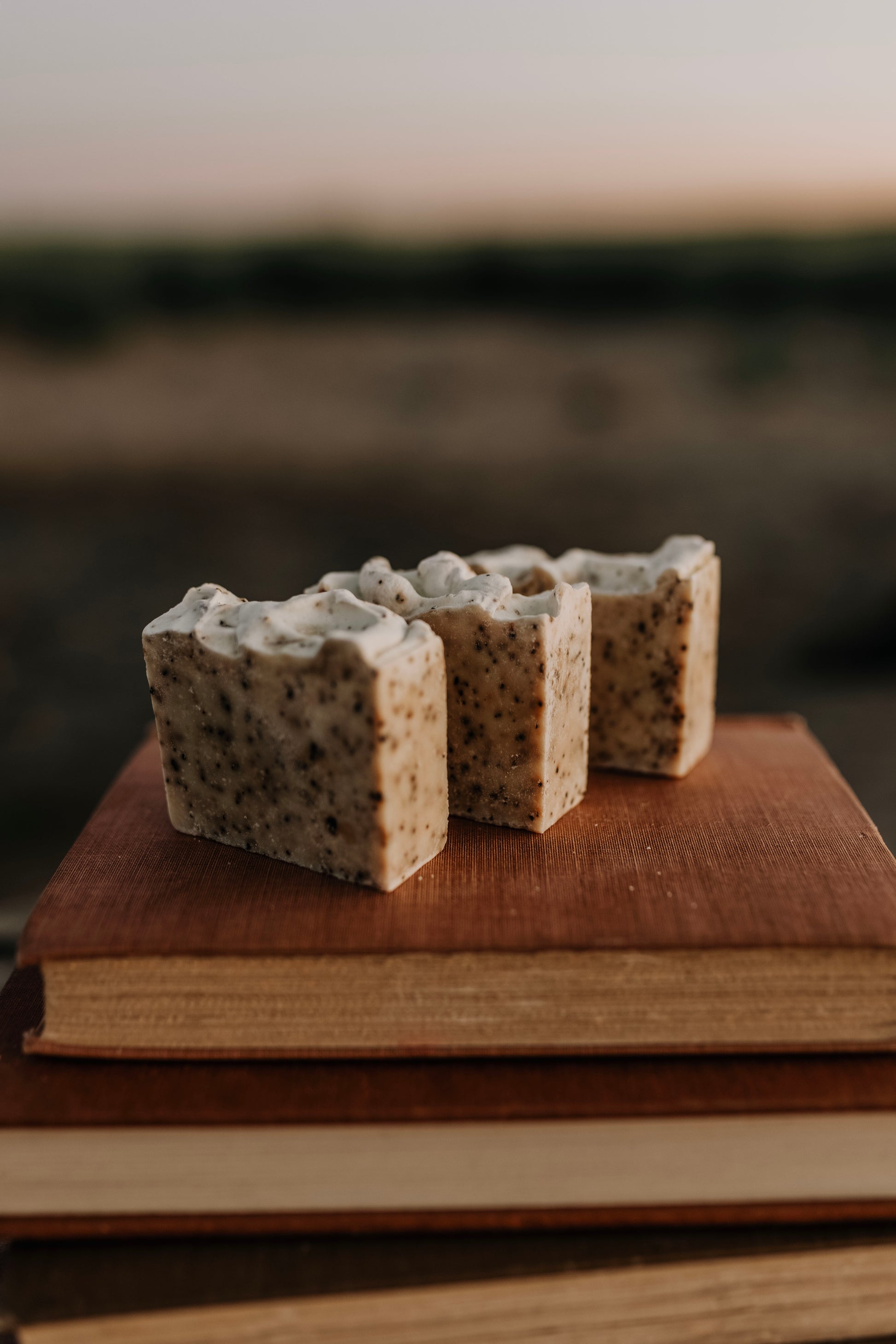Till & Tallow Bin Bust Soap Degreaser bar displayed on a rustic wooden surface with natural lighting, handcrafted in Alberta.