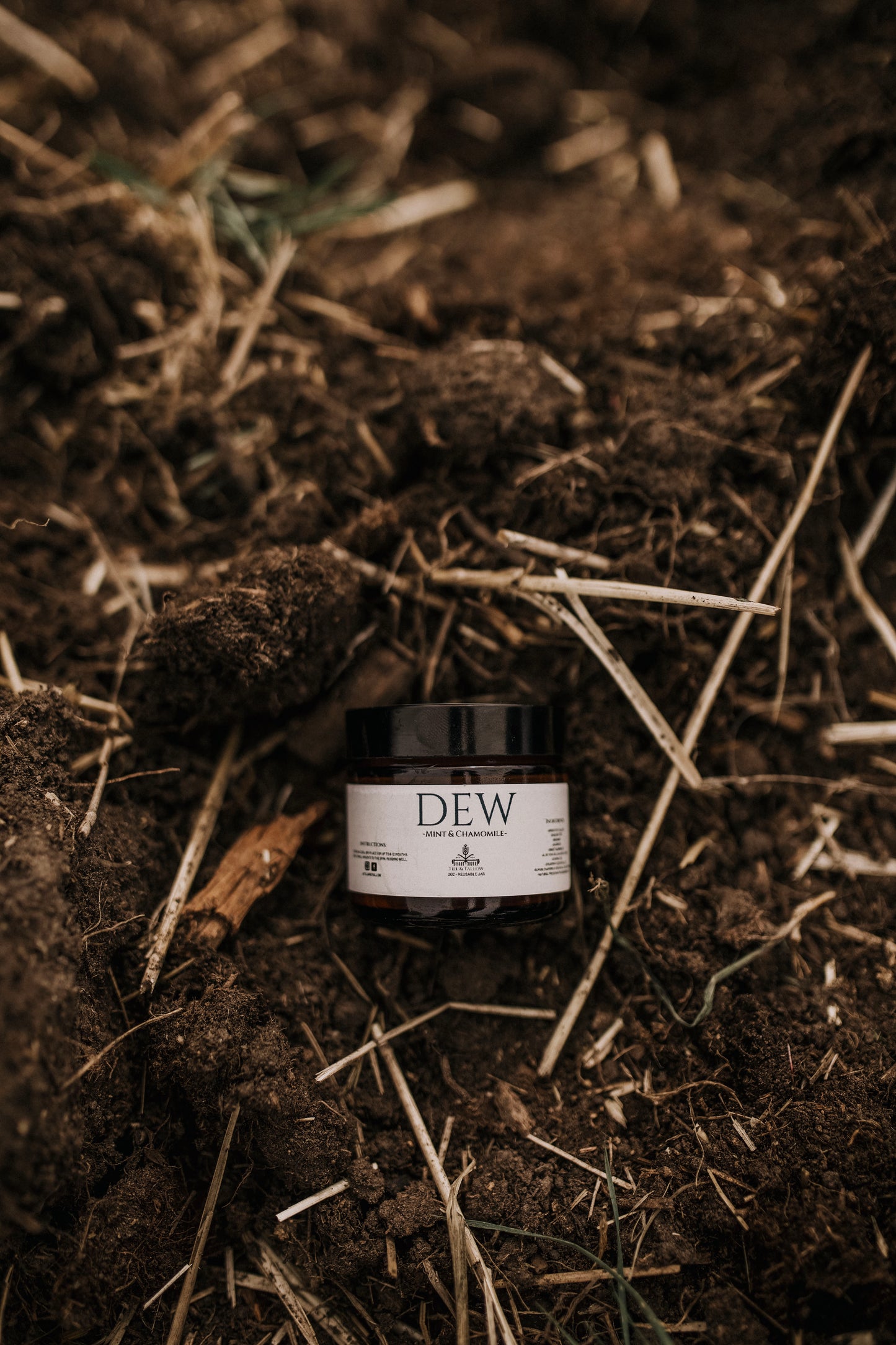 Till & Tallow Dew Aloe After Sun Balm jar in dirt, handcrafted in Alberta.