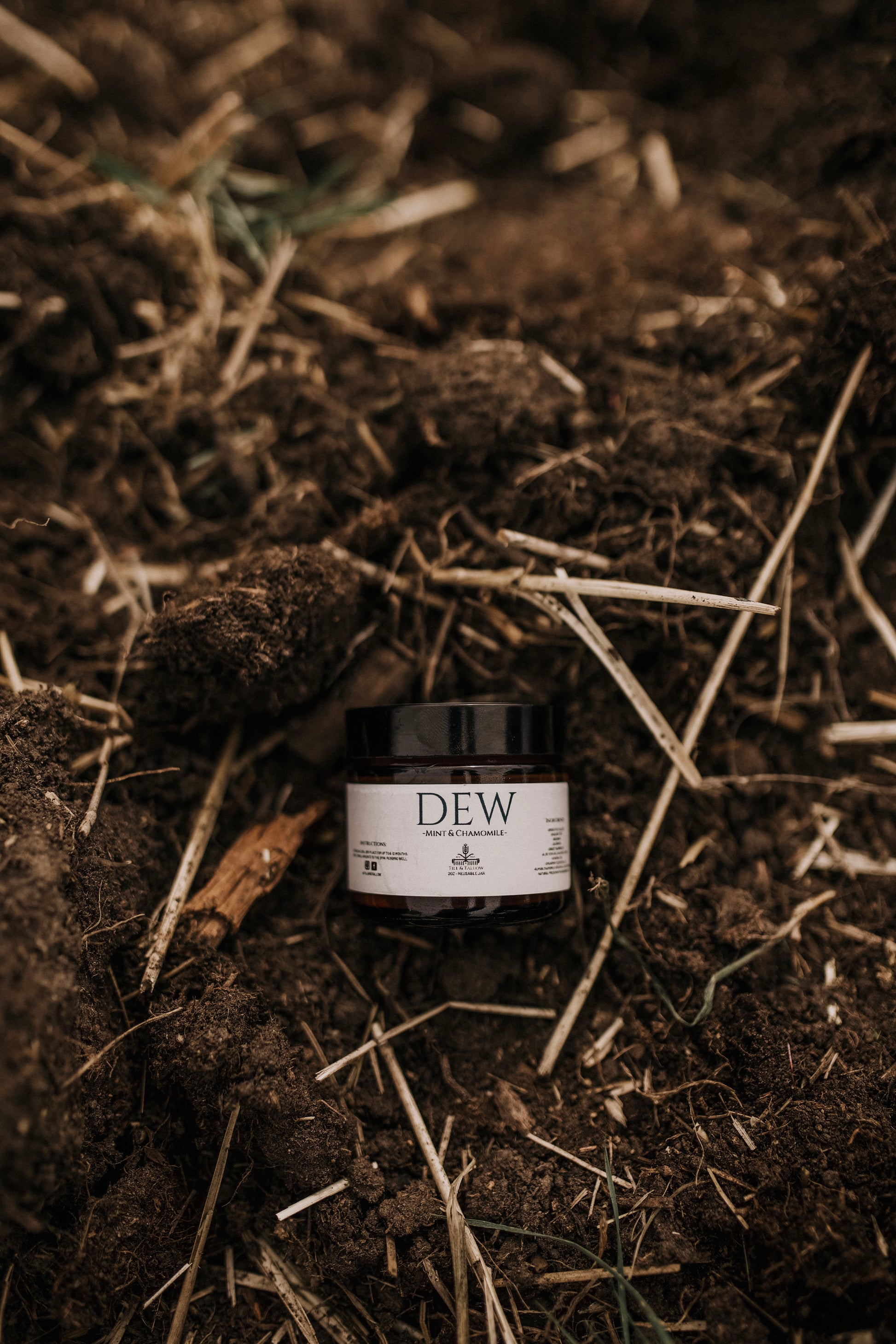 Till & Tallow Dew Aloe After Sun Balm jar in dirt, handcrafted in Alberta.