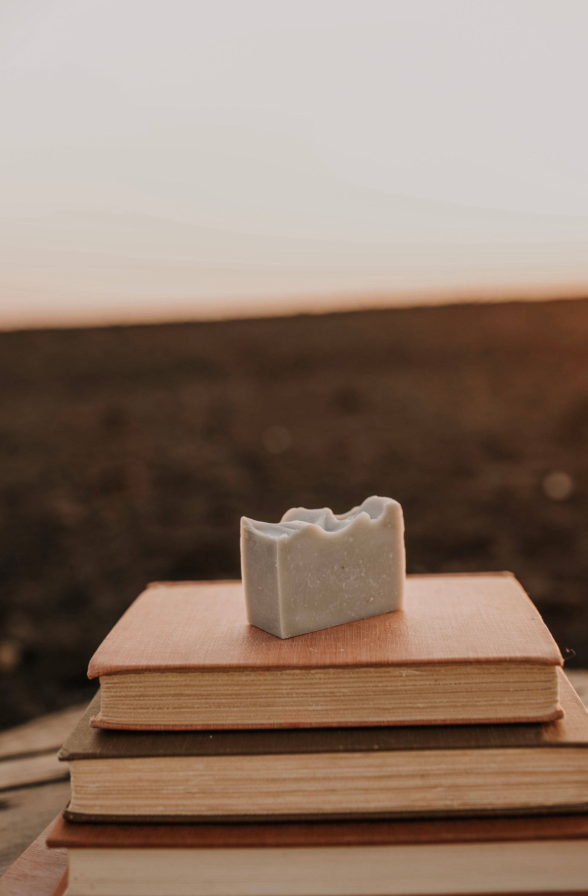 Till & Tallow Garden Mint & Pumice Tallow Bar Soap, single bar, handcrafted in Alberta.