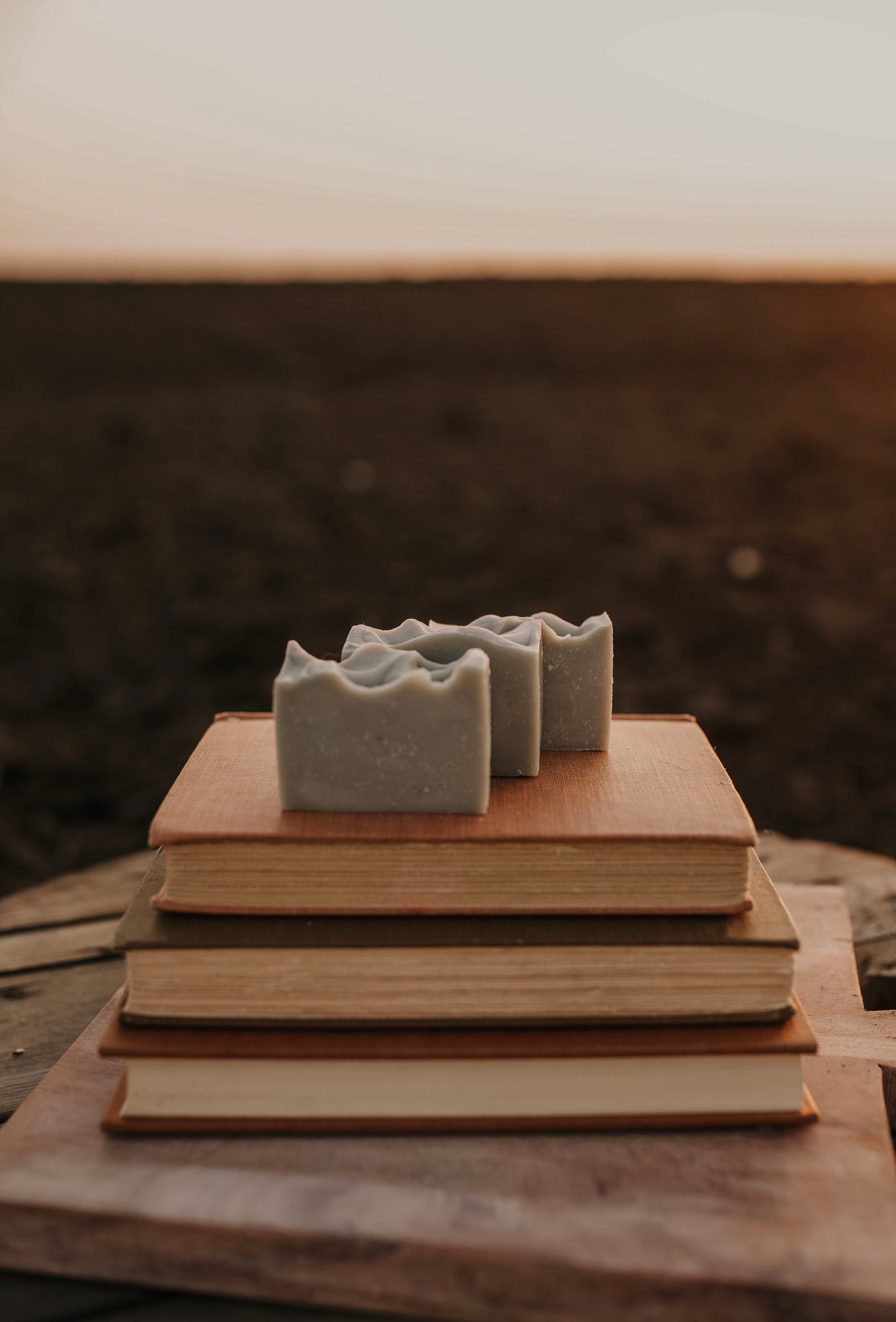 Till & Tallow Garden Mint & Pumice Tallow Bar Soap Trio on Three Books, handcrafted in Alberta.