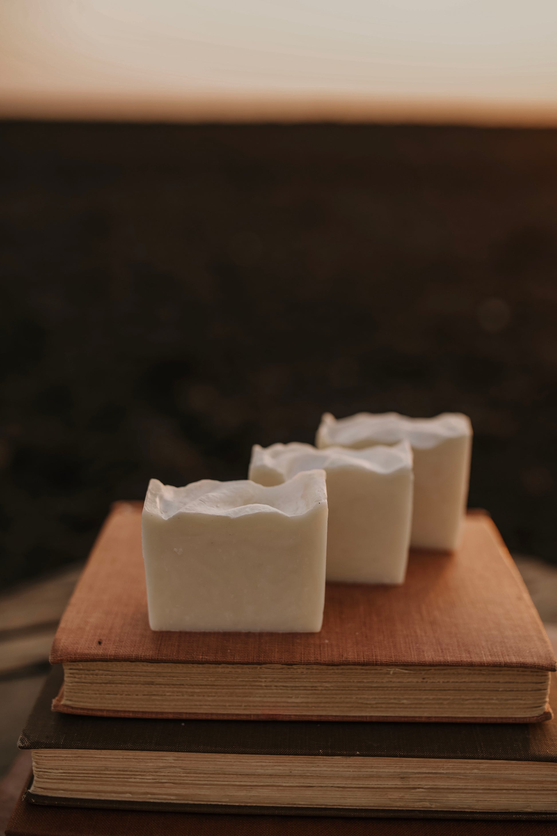 Till & Tallow Cream Unscented Tallow Bar Soap on Books, handcrafted in Alberta.